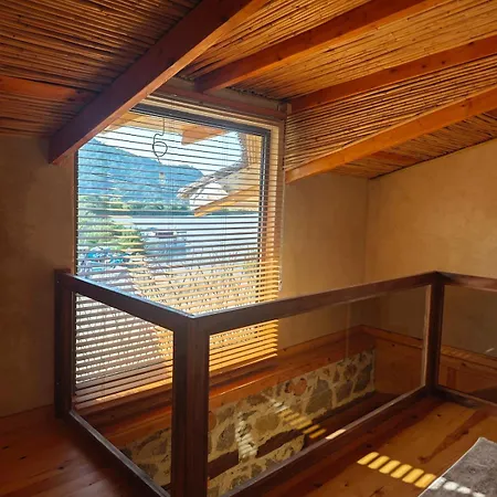 Alametifarika Evi 달리안