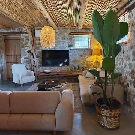 Alametifarika Evi 别墅 达利安