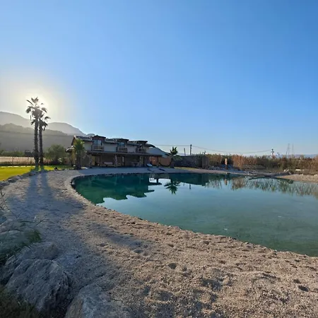 Alametifarika Evi 달리안