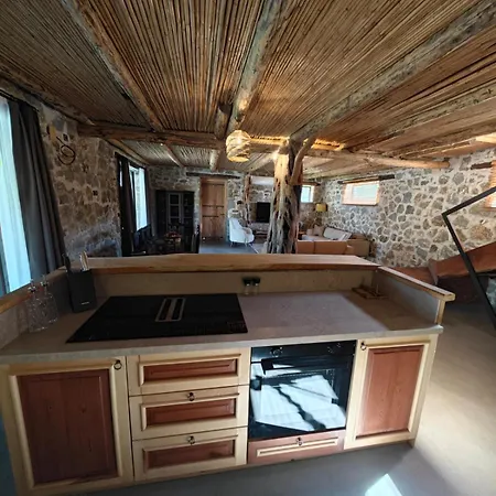 Alametifarika Evi 达利安