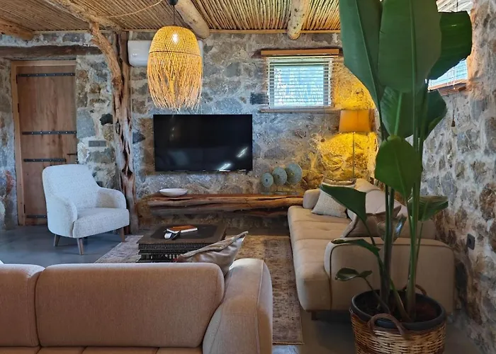 Alametifarika Evi וילה דליאן