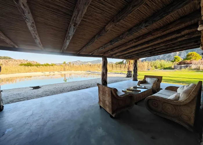 Alametifarika Evi דליאן